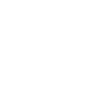 Strony WWW - ikona